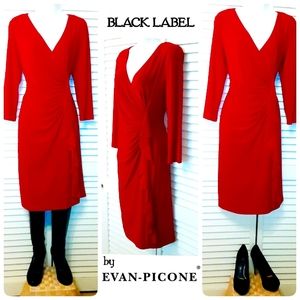 BLACK LABEL by Evan-Picone Rich Christmas/Valentine Red Wash&Wear Dress